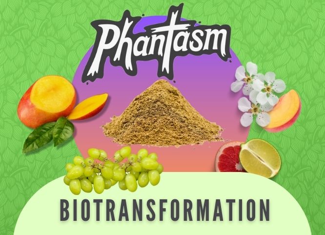 Biotransformation